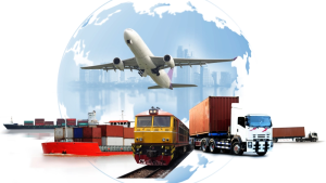 Mini Importation Training