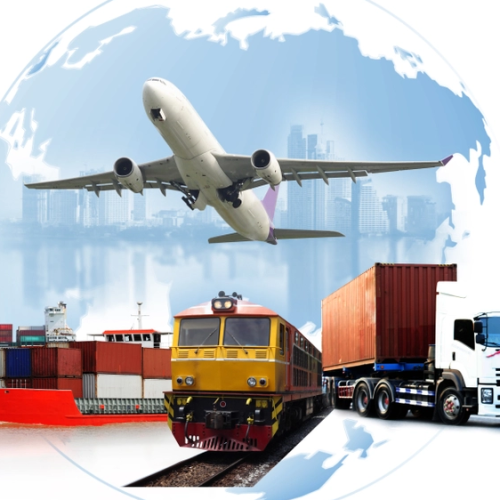 Mini Importation Training